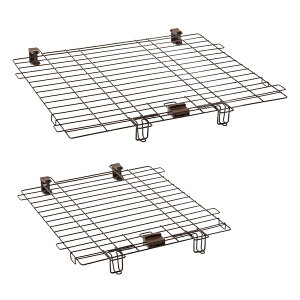 yeBI gĈohbO[T[NuEChp