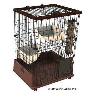 yeBI necocoeL̂ɂ҂ȃLbg[T[N