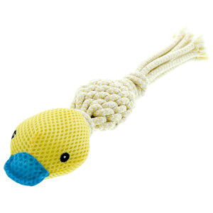 yeBI vVbvƕpCamuComeDentalBirdsqR | ybgpi ybg  ^p p ނ f^ JJ JJq