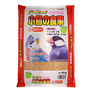 ���i�`�������y�b�g�t�[�Y �G�N�Z���������������̐H����t��3.6kg | �����̐H�� �Z�L�Z�C���R �I�J���C���R ���̉a �y�b�g�t�[�h �V�[�h�t�[�h �C���R�t�[�h ���p�t�[�h ��t�� ��q �o����