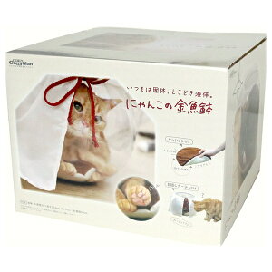 ݌ɌŔpԁhM[}nV ɂ񂱂̋