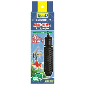 XyNg uY Wp eg 26~jq[^[ 100W