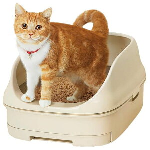 GXe[ jƂgC I[v^Cv Cgx[W