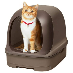 GXe[ jƂgC h[^Cv uE | LgC jƂgC VXegC h[^Cv gC{ uE LpgC  x[W `bv юU