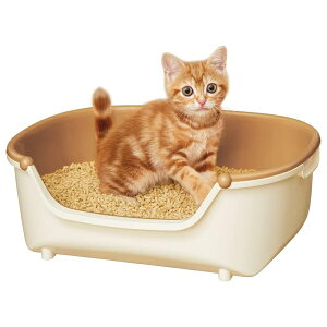 GXe[ jƂgC RpNg AC{[y[IW