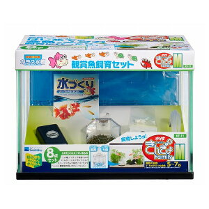  񂬂t@~[ M [4974105022112] |   Zbg  Ϗ܋ S GA|v tB^[ RA GCg ^ pi 삫񂬂t@~[  ȒP 