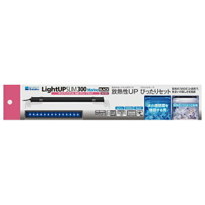  CgAbvSLIM300}ubN [4974105026233]