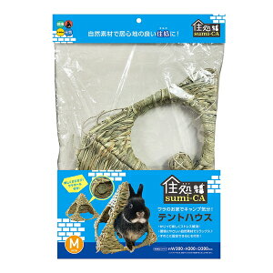 nCybg Zsumi-CA egnEX MTCY [4977007036638] | egnEX ybgpi  ETM `` bg XgX Rf nhCh  {[t ɗD