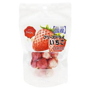 LЃG[Xv_Nc PetitJoyt[YhC6g | t[YhC t[YhC   XibN fU[g wV[ Rh G[Xv_Nc W