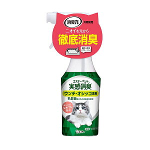 ݌ɌŔpԁGXe[ GXe[ybgLXv[Lp{̃tbVO[̍270ml