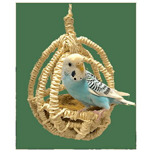  ̂nbN | JC nbN pi ObY  ZLZCCR o[hgC CRp  Rf MEۏ i RRibc @ V̗t Ԃ