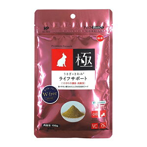 nCybg Xp̂݃CtT|[g100g