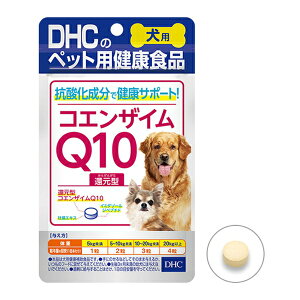 fB[GC`V[ RGUCQ10Ҍ^ | RGUCQ10 pTvg DHC ybg Tvg  VjA Tvg Y ybgpi NHi ̌N RGUC Q10^ 