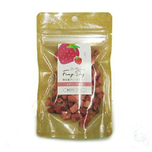 ItBXs[X hN^[Y`CX [ۃt[YhC 8g | hN^[Y`CX [ t[YhC  Tvg  r^~C Pʋ Y ybgpi R