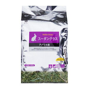 nCybg vZNg X[_OX 480g | vZNg X[_OX q  bg `` Hׂq nCybg ybgt[h q ClȑH pq @ۖq