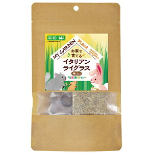 C[X^[ }CK[f q͔|Zbg C^ACOX