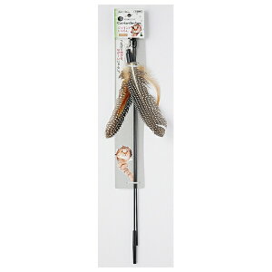 yeBI AhCg cat in the box WCg炵 uE | L炵 Lp yeBI HtL炵 Lߋ WCg炵 uE Ȃ邶炵 L