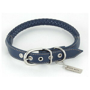 yeBI AhCg Maniera J[ SS lCr[