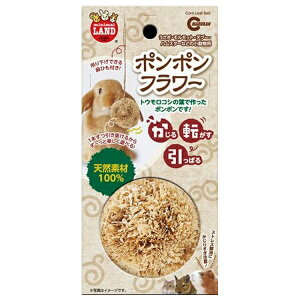 }J MR-849 ||t[ | }J ||t[    VRf gERV  nX^[ bg fO[ @ێ P[W XibN g[