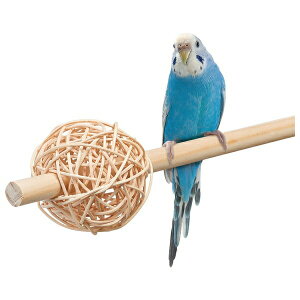 }J ̗VяtH[WO{[ MLP-131 |   tH[WO{[ pVя }J  ObY p VR  Ƃ܂ V ̗V