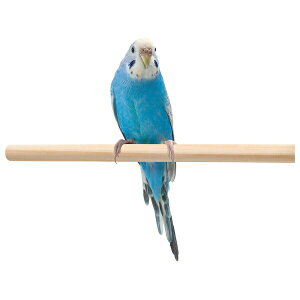 }J ̗VяƂ܂ MLP-134 | ̗Vя Ƃ܂ }J   P[Wp ̃ANZT[ ZLZCCR IJCR  VR X`[ VR t 