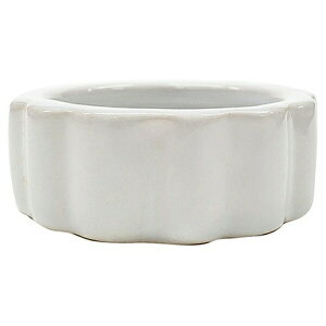 }J WIfBbV M RPS-15 | ঒ H }J WIfBbV  aM GTM oh~ a  JGVt ঒ޗp ঒ pi ybgpi ঒ފǗ 