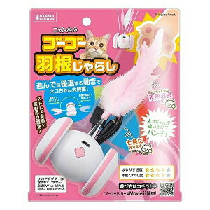 }J S[S[H炵 CT-622 | L }J S[S[H炵 d Lp H炵 L炵 낢 ̉H  LV 