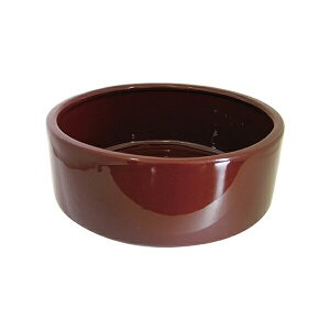 i`ybgt[Y ی^GT 12cm | i`ybgt[Y GT 퐻 GTM {p ngp ETMp ybgp H p pi ybgt[h HM H 