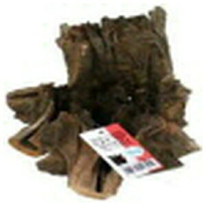 \lP~t@ X^vEbh S |   CAEg Rf ANAE Mы ANApi K[fjO  CeA i` fR[V A Rȕ͋C 