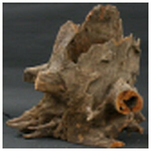 \lP~t@ X^vEbh SS | X^vEbh \lP~t@  Ϗ܋ ANAE  CAEg VRf ANZT[ pi CeA Rh DIY ANAeE ؃A