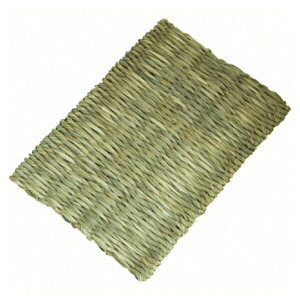  ETM̍zc L | ̍ԂƂ  zc `V[ }bg  rbgObY Rf ybgp pi q NbV AWAr^`V[ y V