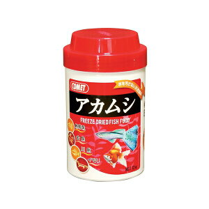 CgXC \tg AJV 12g | Mы GT AJV CgXC t[YhC \tgt[h Ϗ܋ pt[h t[h ybgt[h Ԓ J  a zQ p 