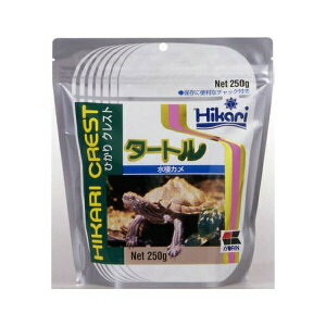 L[ ЂNXg ^[gST 250g | J a J t[h XeBbN L[ ЂNXg ^[g T|[g GT ঒ ^pN r^~ JVE LgT X