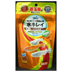 L[ _JvX 20g | Mы a _J t[h ANAE _Jt[N Ђ F GT tBbV    Vv H JV RhX Obs[