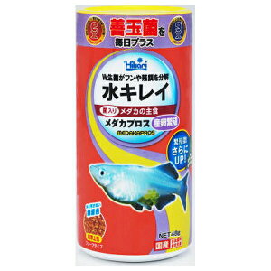 L[ _JvXYɐB 48g | _J a Ϗ܋ ANAE Mы _Jt[N a {B  a    h{ Ђ GB Y ɐB J`mCh t