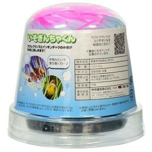 ���_���{���p�i �������񂿂Ⴍ�� M �s���N | �J�N���N�}�m�~ �C�\�M���`���N �l�H �C�\�M���`���N ���� ���p�i �v���~�A�� �s���N �V���R�� ���� �f�R���[�V���� ������ �J�~�n�^ �_���{�� 