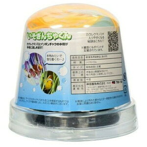 _{pi 񂿂Ⴍ M IW | JNN}m~ C\M`N ANAE  I[ig lHC\M`N VR CAEg ̉B Mы TS J~