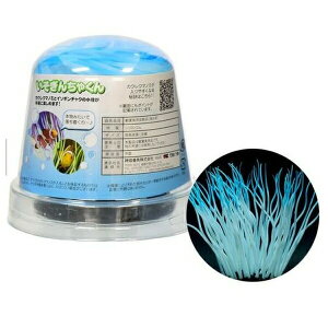 _{pi 񂿂Ⴍ M CG[ | JNN}m~ C\M`N ANAE VR C pIuWF IuWF plH u J~n^ j ANApi ANA