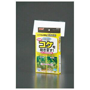 WFbNX ANAsARP薳p AP-5 | GEX RP ANAsA p Wp ANAEpi pi RP΍ WFbNX RP   Ǘ  Y Ϗ܋ Mы