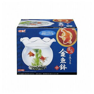 WFbNX ̋Z  |  GEX WFbNX  KX  ӏ ANAE  pi ^    Zbg p fUC 