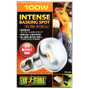 WFbNX TO[ ^Cgr[oXLOX|bgv100W PT2138 | GEX TO[^Cgr[oXLOX|bgv 100W pW^  ঒ Cg oXLOv Ɩ UV