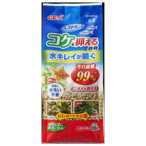 WFbNX xXgTh 0.6L | GEX xXgTh [ICg P RP} pi   oNeAɐB 琬 VR Yybgpi  ANAE 