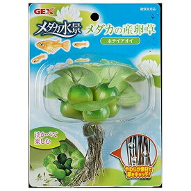 ◇ジェックス メダカの産卵草 ホテイアオイ
