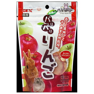 WFbNX pp 10g | GEX    Y hCt[c p   nX^[ R XCX^Cv t[YhC ؂ XibN ybgt[