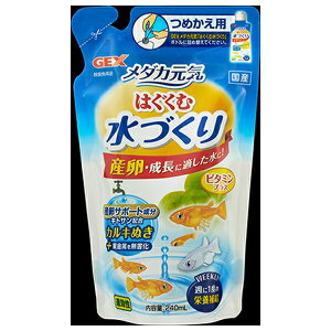 WFbNX _JC͂ސÂ l֗p