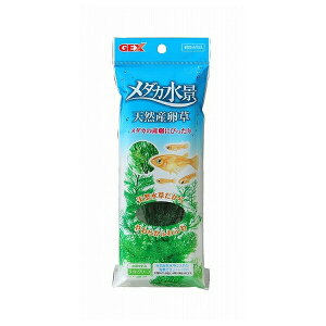 ���W�F�b�N�X ���_�J���i �V�R�Y���� | ���_�J ���� �V�R���� �A�N�A���E�� ���_�J���� �Ϗ܋� ���� �����Z�b�g ���p�i �M�ы� �����琬 ���_�J�p���� �V�R�V�_ �W�F�b�N�X ���f���� ����p