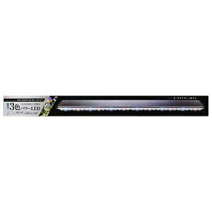 WFbNX NALEDPOWERX[ 900