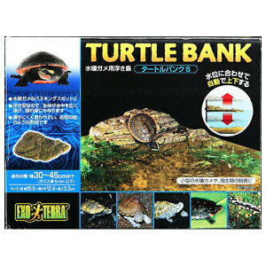 WFbNX ^[goN S PT3800 | ^[goN T  K  ANAE pi ঒ Tp  GEX ^ }Olbg ㉺ K Kp   CAE