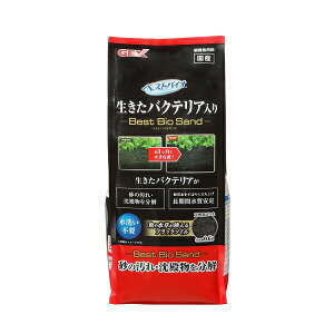 WFbNX xXgoCITh 0.6L | GEX xXgoCITh ANAE \C Mы oNeA ꏰ  ubN Th a 0.6L グ eiX ɐB pH  p Ϗ