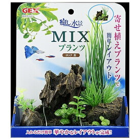 ◇ジェックス 癒し水景MIXプランツロック茶